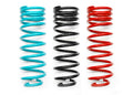 Dobinsons DOBINSONS COIL SPRING PAIR (C19-575V)