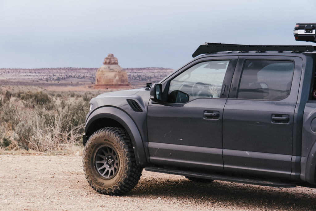 Ford Raptor / F150 Prinsu Roof Rack | 2015-2020