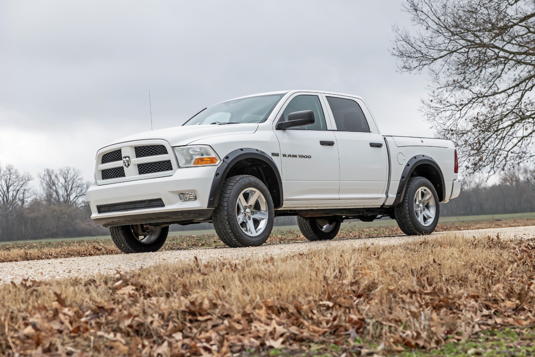 Pocket Fender Flares | PS2 Bright Silver Metallic | Ram 1500 2WD/4WD (2009-2018 & Classic)