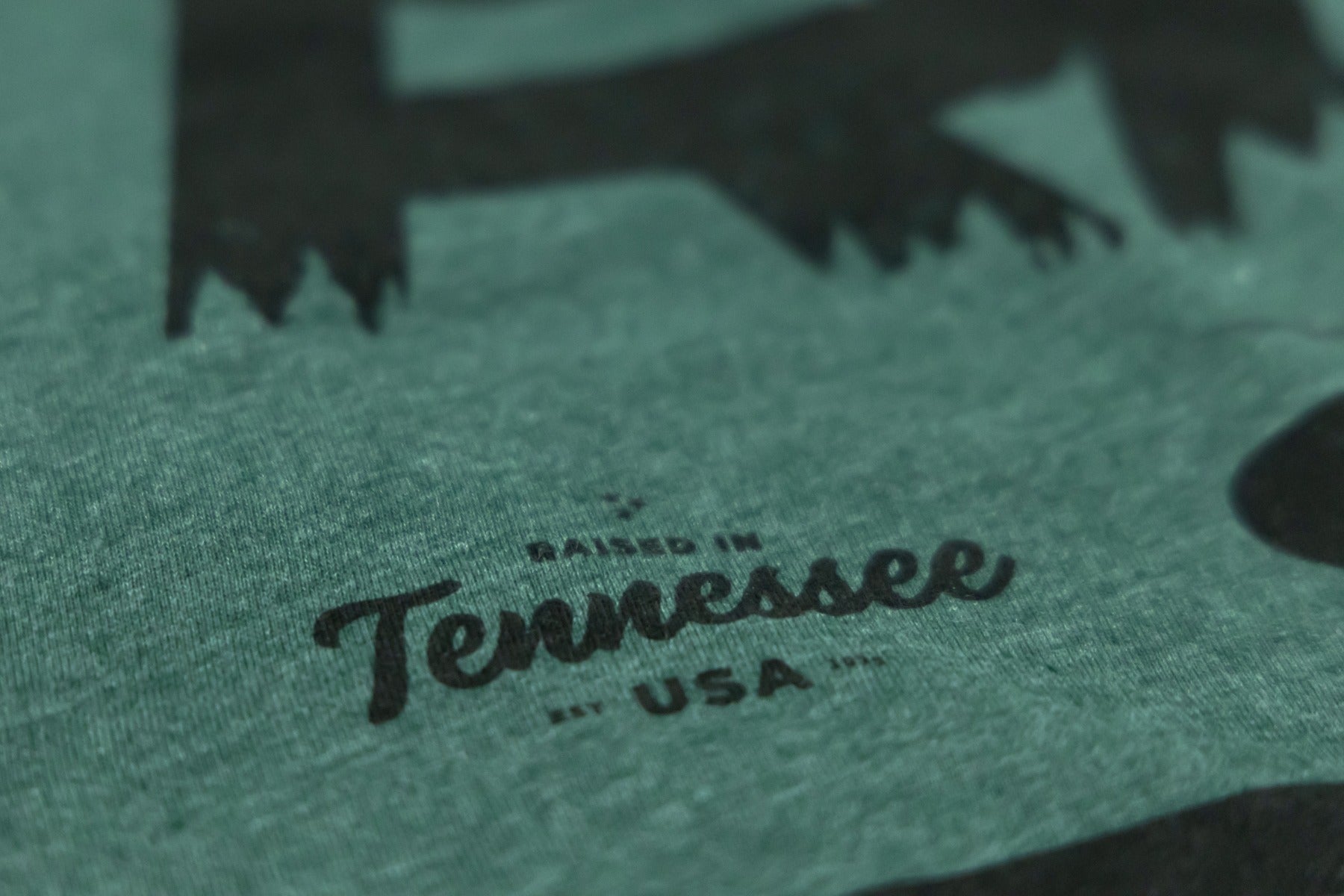 Rough Country T-Shirt | RC Mountains | Forest Green | MD